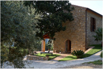 Das Ferienhaus steht in einem Oliven- und Pinienhein.