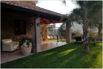 Das Ferienhaus steht in einem Oliven- und Pinienhein.