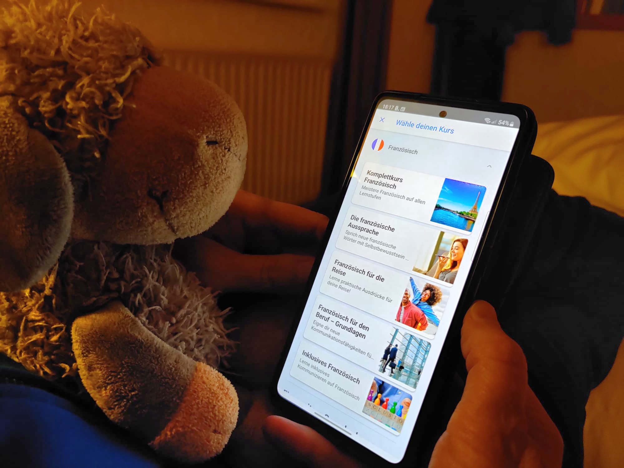 Grauschaf lernt Französisch